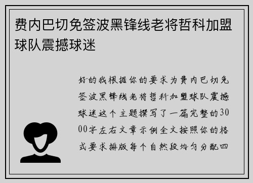费内巴切免签波黑锋线老将哲科加盟球队震撼球迷 费内巴切免签波黑锋线老将哲科加盟球队震撼球迷