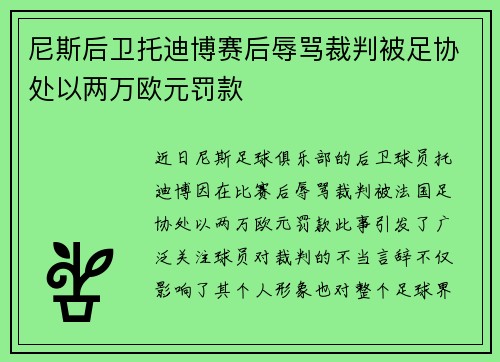 尼斯后卫托迪博赛后辱骂裁判被足协处以两万欧元罚款